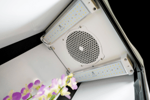 DANF Growbox AKF LED AUS