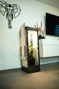 DANF Growbox offen Wohnung1 3